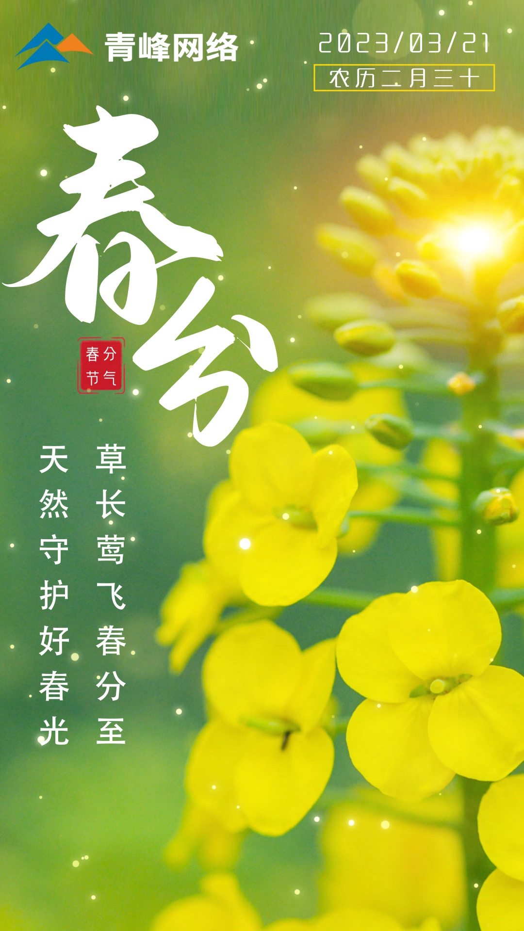【春分】草長鶯飛春分至，天然守護好春光。